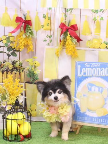 20240413虎ちゃん